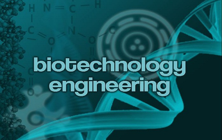 A brief view of Bio Technology Engineering